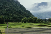 2021年客运车儿童免票规定(2022年APP拉新的运营方式有哪些？App拉新还可以做吗？)