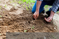 耕种图画(谁能画出田的简笔画?我实在想不出怎么画田地了,求帮助)